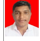 Prof. Ms. Hanuman S. Ghodekar